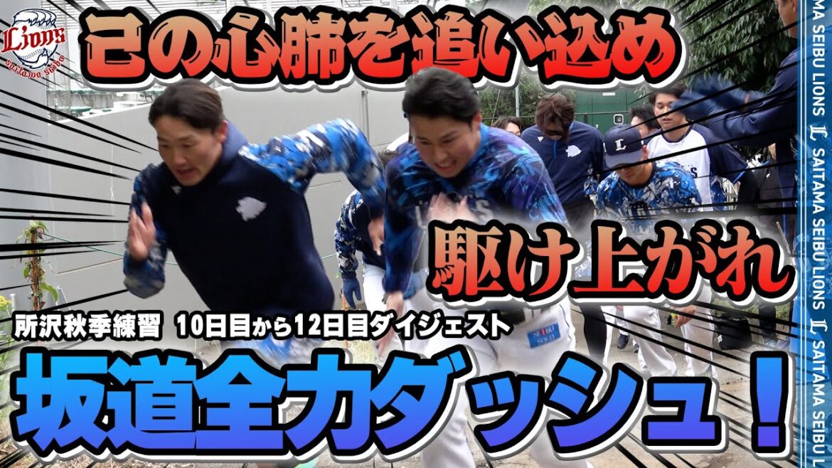 【駆け上がれ！】己との戦い！坂道全力ダッシュ！【2025所沢秋季練習10～12日目ダイジェスト