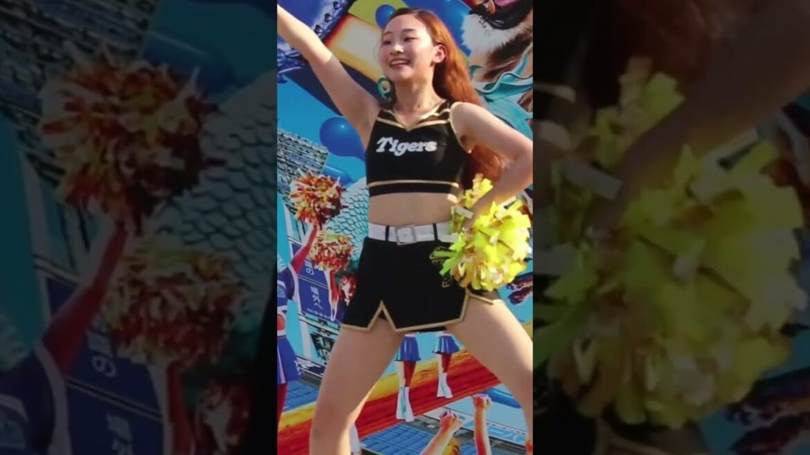 六甲おろし(2) タイガース ガールズ Tigers Girls 横浜DeNAベイスターズ戦