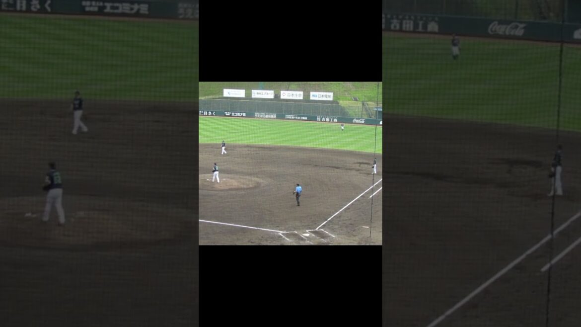 ジャイアンツ中山礼都が内野安打を放つ2024年5月29日 読売ジャイアンツ対ヤクルトスワローズ