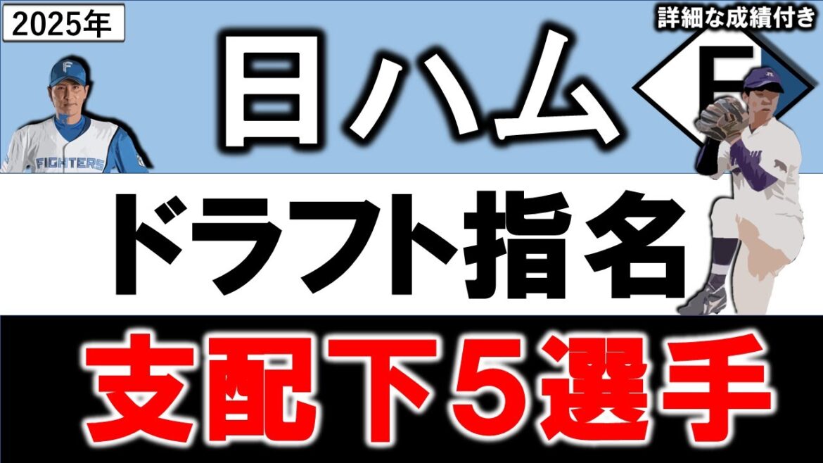 北海道日本ハムファイターズ　２０２５年ドラフト指名選手一覧　日本ハム支配下指名選手５名のプロフィール&成績をいち早く紹介【大川慈英】【エドポロ・ケイン】 【大塚瑠晏】 【半田南十】 【藤森海斗】