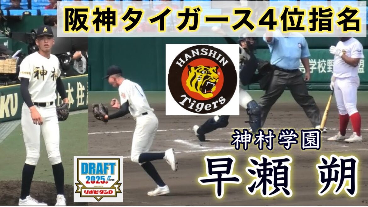 『早瀬 朔 阪神タイガース4位指名 神村学園』侍ジャパンU18 地元兵庫県出身