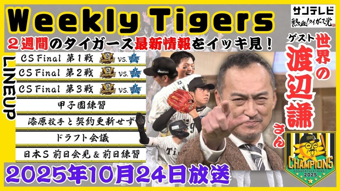 【世界の渡辺謙さんと見る2週間分のタイガース情報🐯】CSファイナルステージの３試合をイッキ見 #熱血タイガース党