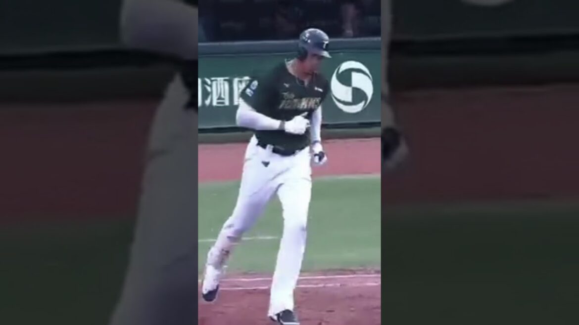 Steven Moya conectó dos jonrones para celebrar su cumpleaños.#taiwan #trending #beisbol #stevenmoya