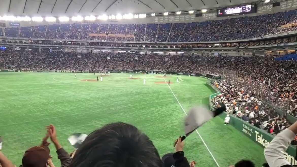 20240319　岡大海の安打♪【#ヒットテーマ5】6回表　千葉ﾛｯﾃﾏﾘｰﾝｽﾞ@東京ﾄﾞｰﾑ･ﾚﾌﾄ外野 ｵｰﾌﾟﾝ戦