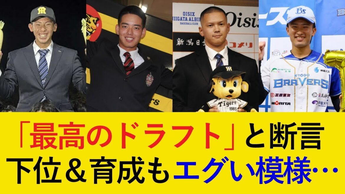 畑山統括が「全てシミュレーション通り。」と断言！下位＆育成も粒揃いの模様！【阪神タイガース】
