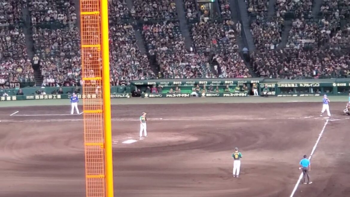 20240728　しゅんちぇる雑音を一掃する【駿太 応援歌】　8回表　中日ﾄﾞﾗｺﾞﾝｽﾞ　後藤駿太@阪神甲子園球場･ﾚﾌﾄ外野 ｳﾙ虎の夏2024