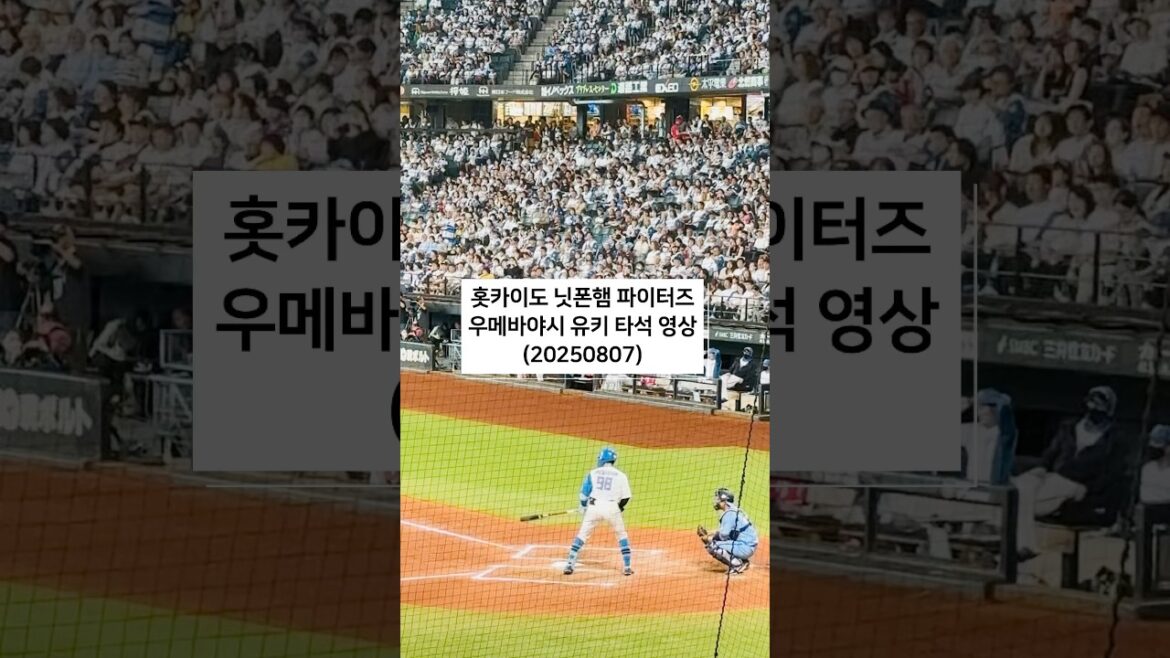 日本ハムファイターズ　梅林優貴　アウトになる