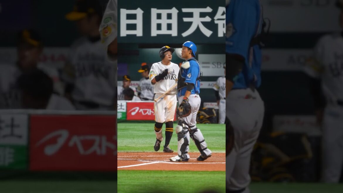 Sh #8 牧原大成▶︎登場曲『ライラック／Mrs.GREEN APPLE』 ▶︎福岡ソフトバンクホークス #shorts