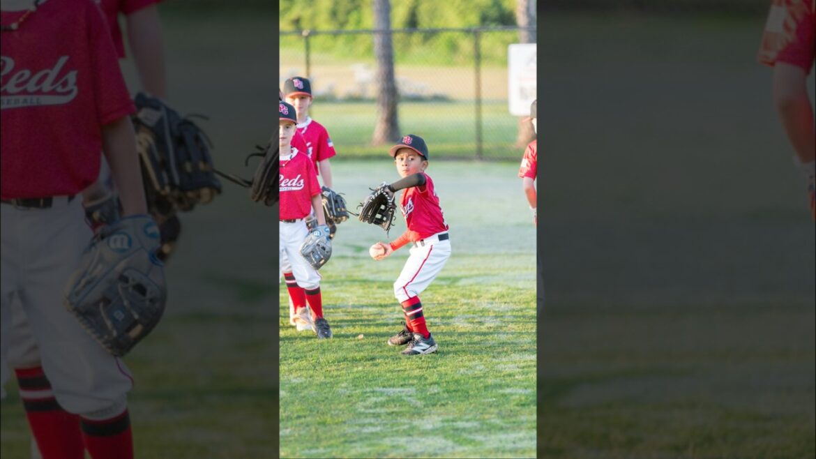 Infield drills ⚾️ #baseball #baseballszn #baseballlife #travelball #youthsports #fypシ゚ #fypシ゚viral
