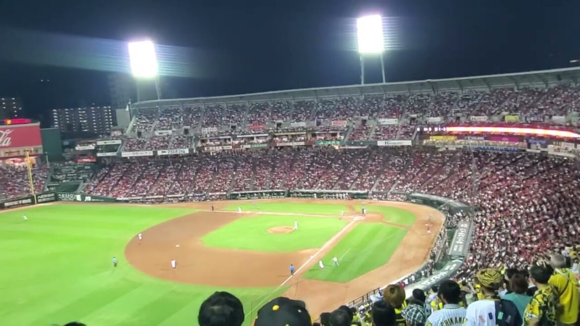 20240927　なべりょ戦力外通告…【渡邉諒 ﾋｯﾃｨﾝｸﾞﾏｰﾁ】　8回表　阪神ﾀｲｶﾞｰｽ　応援歌@MAZDA Zoom-Zoom ｽﾀｼﾞｱﾑ広島･ﾋﾞｼﾞﾀｰﾊﾟﾌｫｰﾏﾝｽ