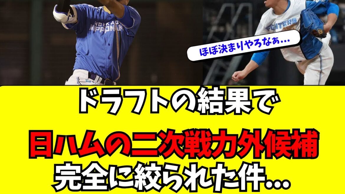 【日本ハム】ドラフト結果で二次戦力外候補が完全に絞られた件