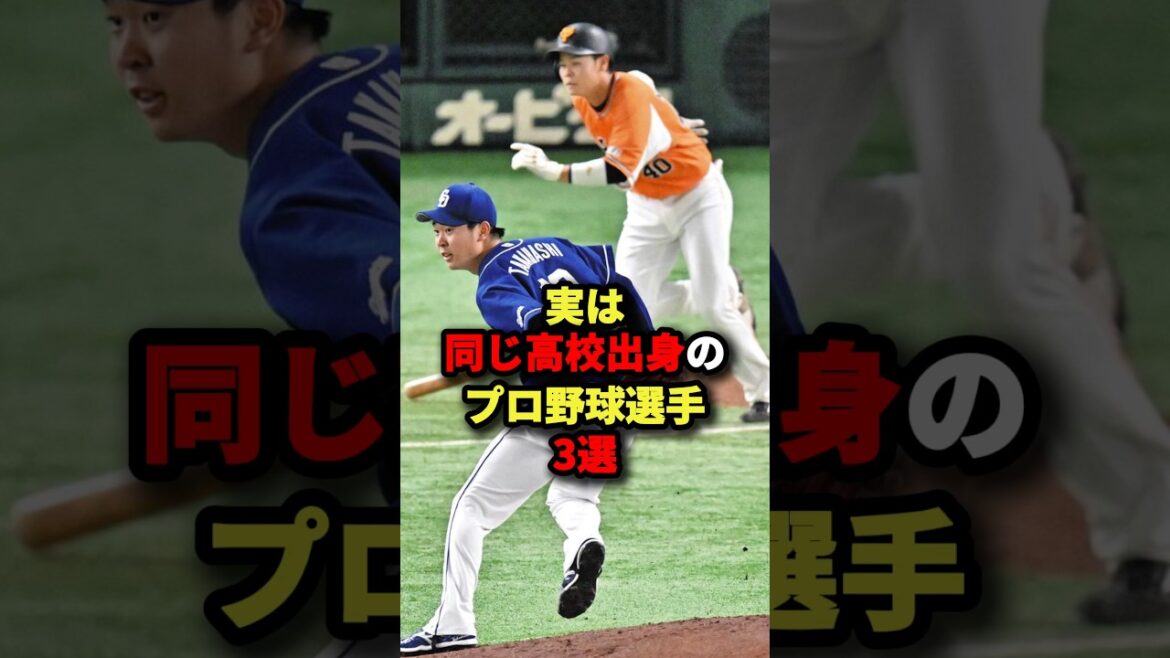 実は同じ高校出身のプロ野球選手3選#プロ野球 #野球 #shorts