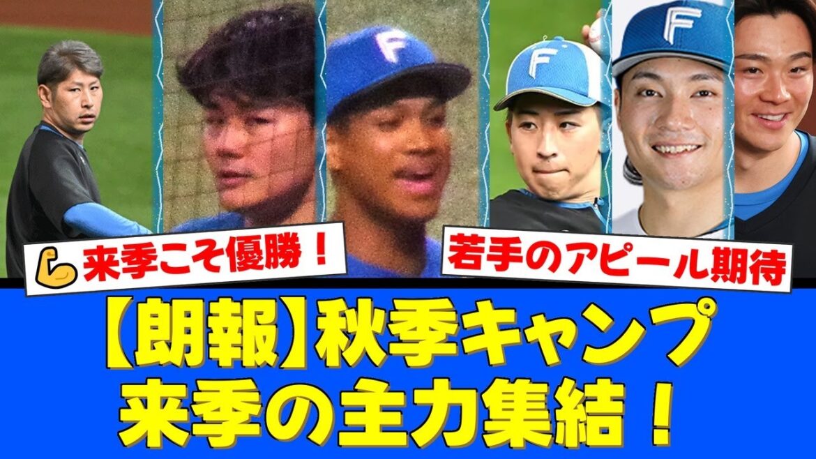 【秋季キャンプ】加藤・伊藤・山﨑福也ら豪華主力組とドラ1細野ら若手サバイバル組のメンバー発表にファンから期待の声が殺到！【プロ野球ファンの反応】