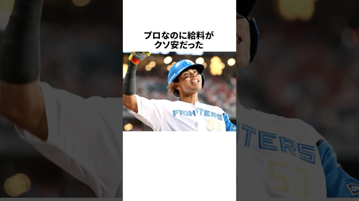 「プロなのにクソ給料だった」水谷瞬についての雑学 #野球 #プロ野球 #野球雑学 「プロなのにクソ給料だった」水谷瞬についての雑学 #野球 #プロ野球 #野球雑学