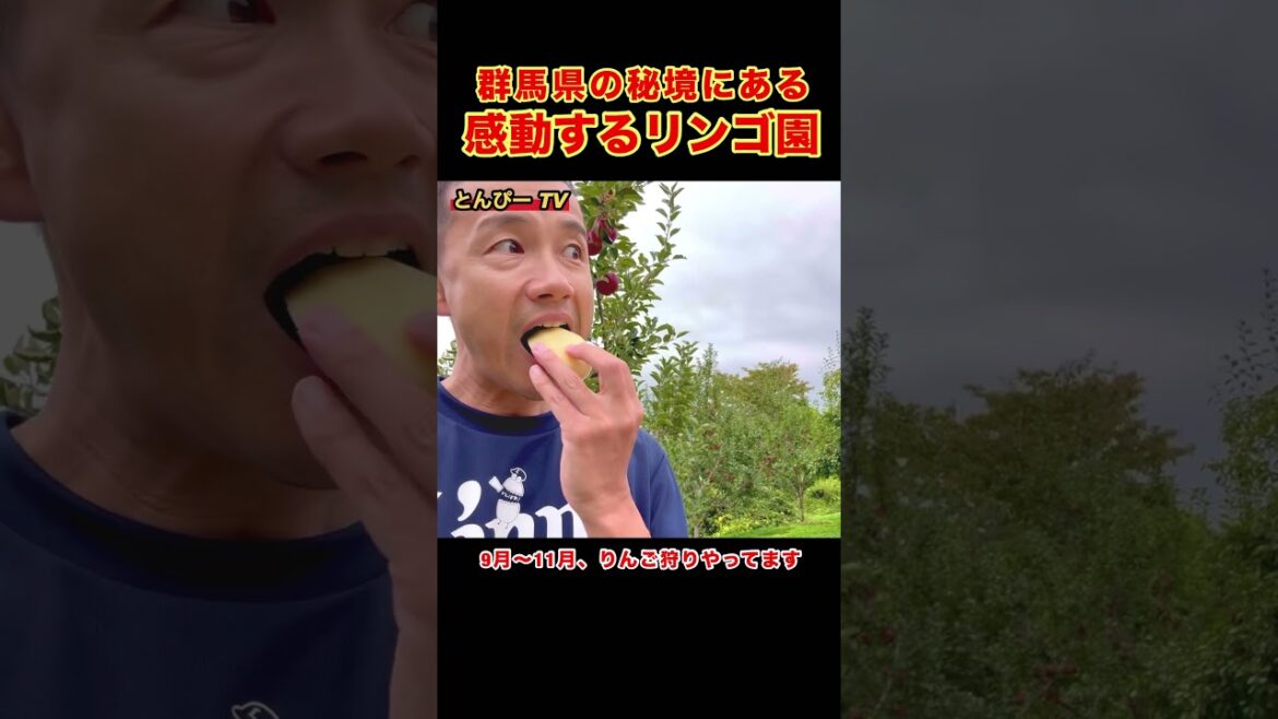 【感動するリンゴ園】プロ野球、高橋光成選手が食べた奇跡のりんご #埼玉西武ライオンズ #群馬県 #沼田市 #りんご狩り #高橋光成
