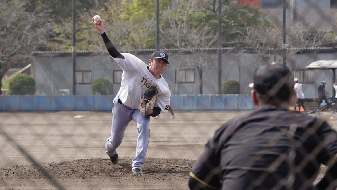 【フェニックスリーグ】阪神タイガース小川一平投球練習(2025-1019)