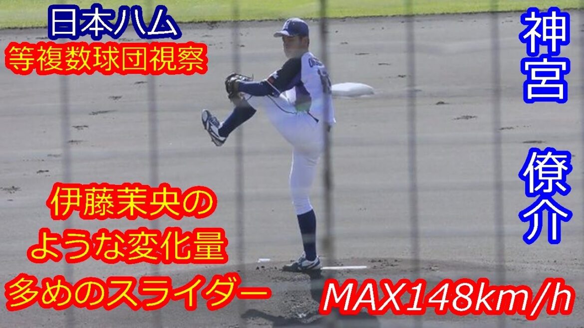 【阪神育成１位！故障から復活の148km/hサイドハンド】　2025年ドラフト候補　神宮　僚介（東京農業大学北海道オホーツク→阪神タイガース育成）