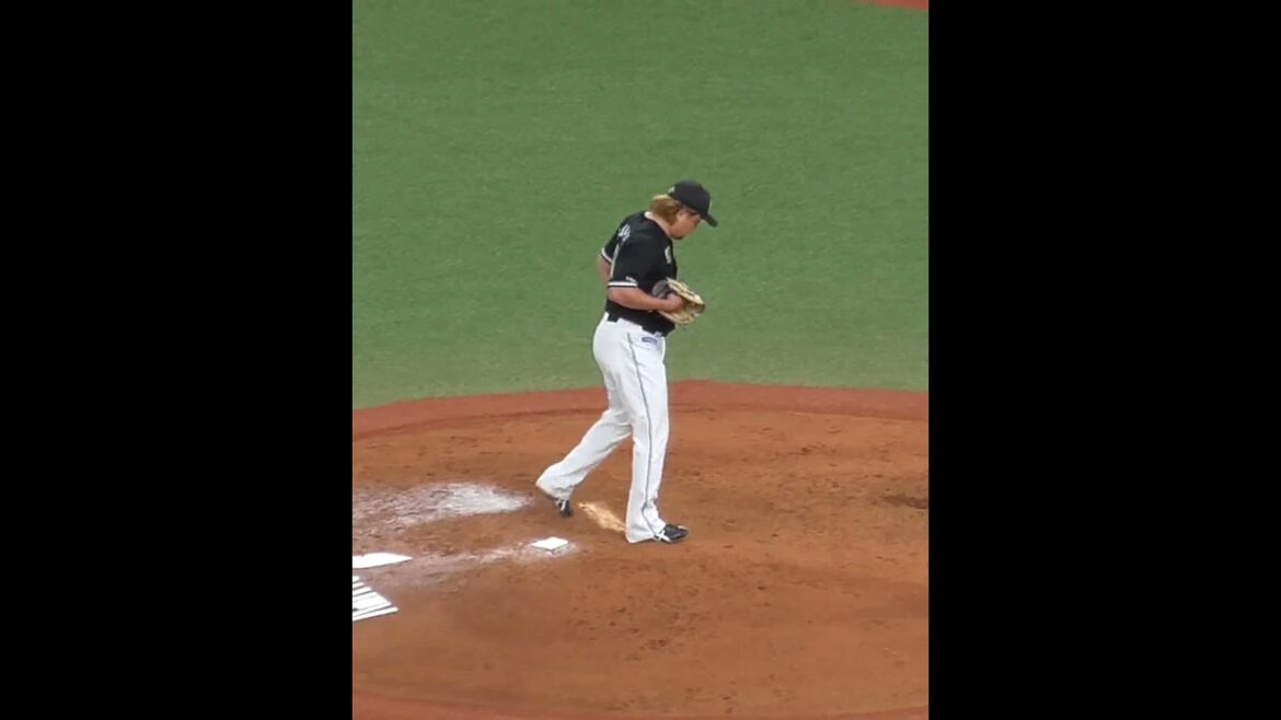 澤村ー田村ー友杉ー中村奨ー友杉ー藤岡ー茶谷ー澤村　白球はめぐる　#千葉ロッテマリーンズ