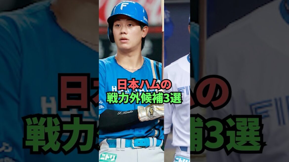 日本ハムの戦力外候補3選 日本ハムの戦力外候補3選