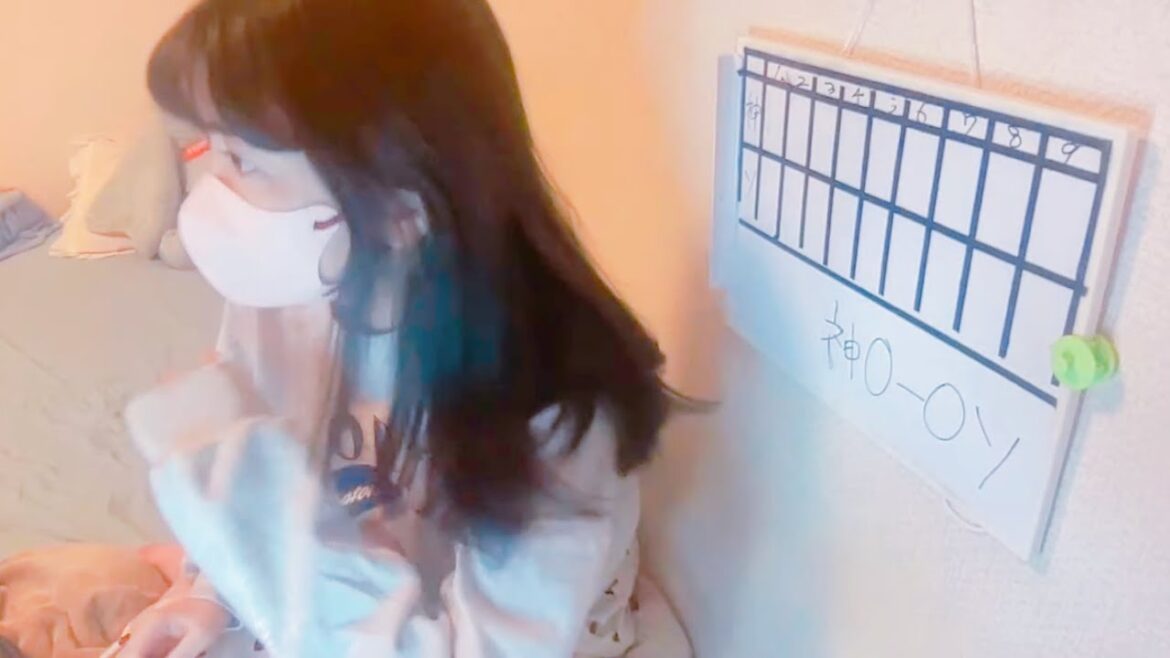 ［傍観者LIVE］ソフトバンクホークス VS 阪神タイガース ［日本シリーズ］