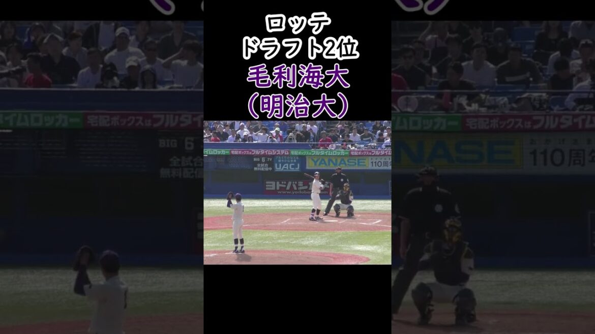 千葉ロッテマリーンズドラフト2位　毛利海大(明治大学)