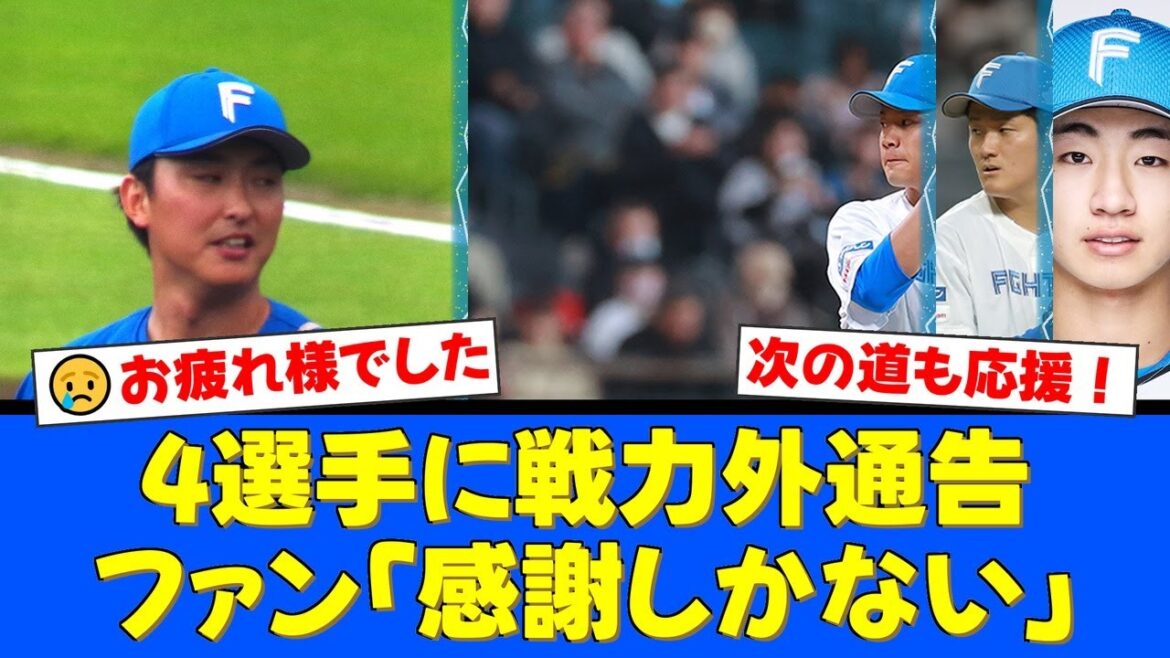 【戦力外通告】石川直也、福田俊ら4選手がファイターズを去る…防御率0.00を記録した福田に驚きの声。ファンからは感謝と激励のコメントが殺到。【プロ野球ファンの反応】 【戦力外通告】石川直也、福田俊ら4選手がファイターズを去る…防御率0.00を記録した福田に驚きの声。ファンからは感謝と激励のコメントが殺到。【プロ野球ファンの反応】