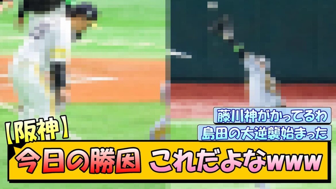 【阪神】今日の勝因これだよなwww