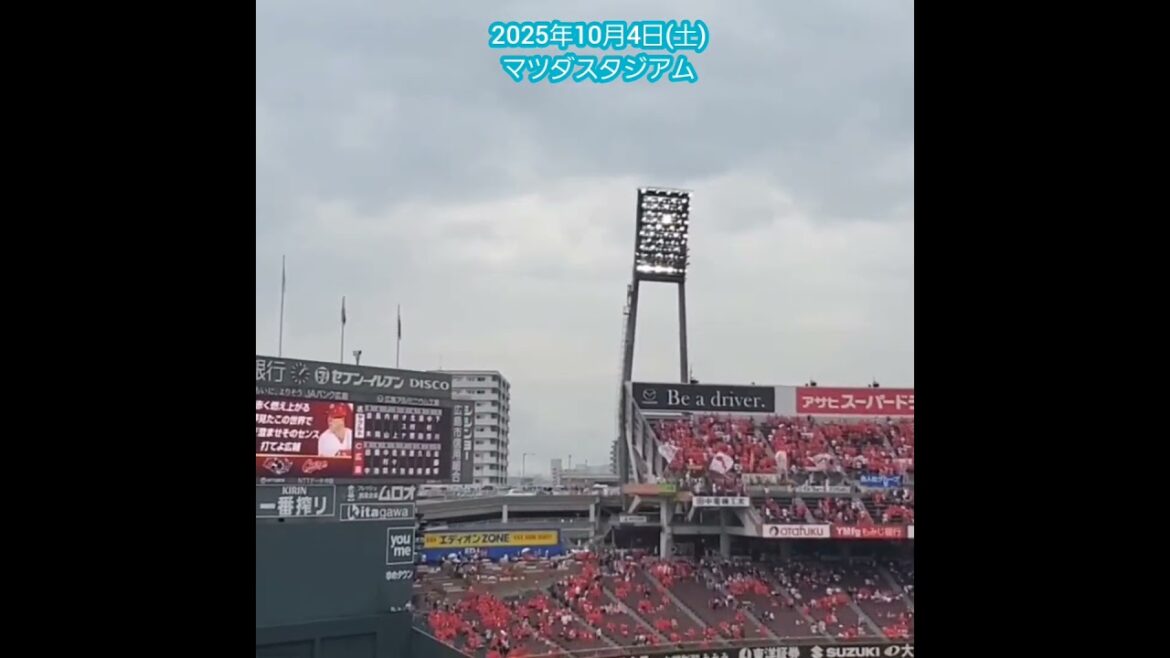 20251004　これで聞き納め！試合前から流れる【#田中広輔 #応援歌】　#shorts@MAZDA Zoom-Zoom ｽﾀｼﾞｱﾑ広島･ﾋﾞｼﾞﾀｰﾊﾟﾌｫｰﾏﾝｽ