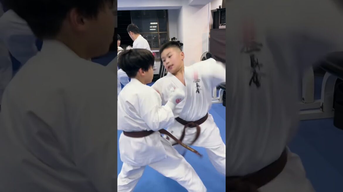 少年部組手：福岡支部241217  #karate #空手 #kyokushin #martialarts #極真空手 #新極真会 #sports #shinkyokushin #budoKARATE