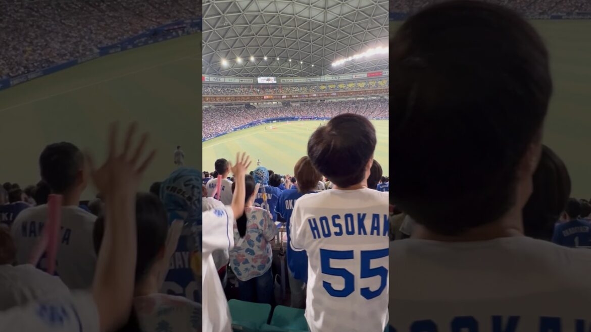 あれ？！2軍？😳宇佐見もうちょと頑張ってよ😨みんな宇佐見大好きだから❤️‍🔥 2024.5.6ライト外野ドラゴンズ応援 読売戦 #ドラゴンズファンと繋がりたい #阿部 #ライデルマルティネス