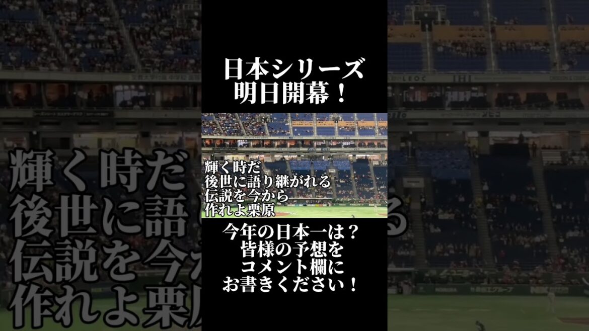 【日本シリーズ明日開幕！】森下翔太＆栗原陵矢応援歌#森下翔太 #栗原陵矢 #阪神タイガース #福岡ソフトバンクホークス #タイガース #ホークス #日本シリーズ #shoto #baseball