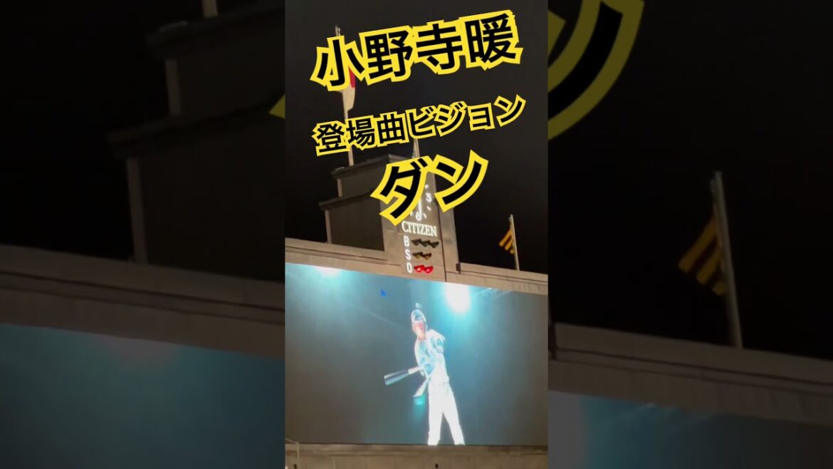 #tigers #小野寺暖 #登場曲 #阪神甲子園球場 #阪神タイガース #hanshintigers #甲子園 #阪神小野寺 #阪神応援