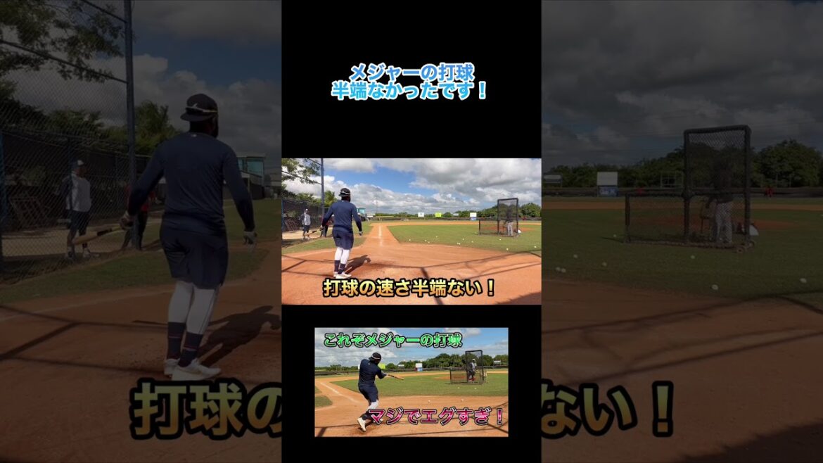 メジャーの打球半端なかったです￼