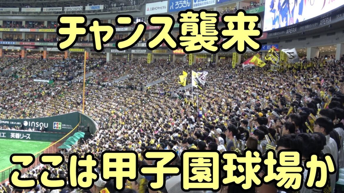 まるで甲子園球場？📣『チャンス襲来』MAXボルテージでホークスを圧倒🐯PayPayドームほぼ半分が阪神ファン⚾️2025.10.25⚾️ホークス対阪神タイガース