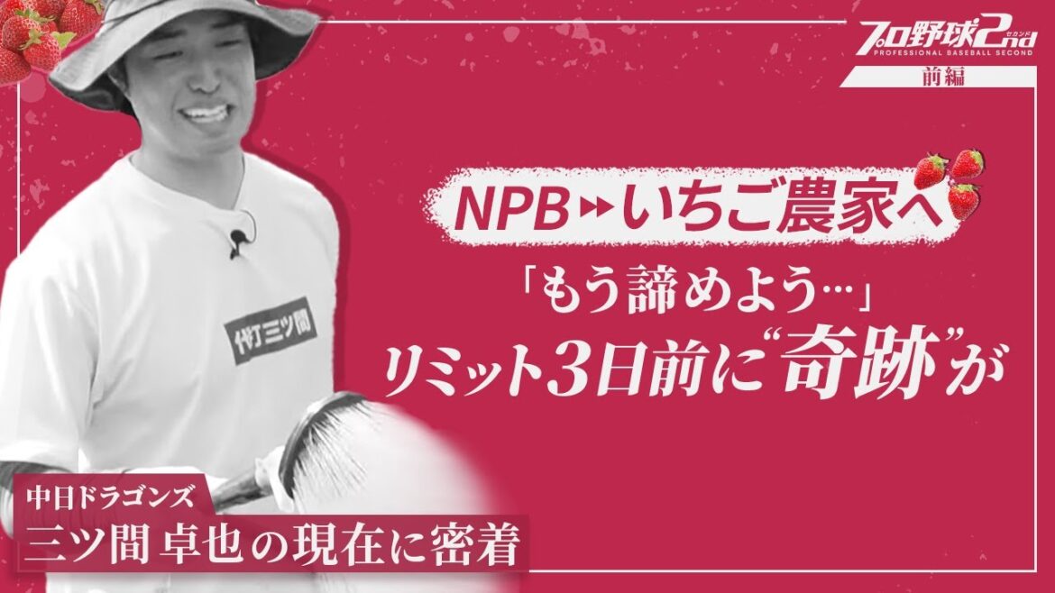 【三ツ間卓也】引退後いちご農家へ転身/無給で挑戦も直面した悲しい現実…/「いちご農家は諦めよう」タイムリミット3日前に奇跡の逆転劇|三ツ間卓也の現在(中日ドラゴンズ) 【三ツ間卓也】引退後いちご農家へ転身/無給で挑戦も直面した悲しい現実…/「いちご農家は諦めよう」タイムリミット3日前に奇跡の逆転劇|三ツ間卓也の現在(中日ドラゴンズ)