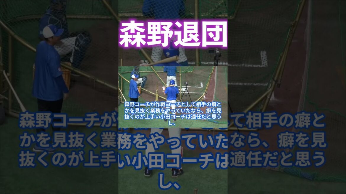 左偏重の打撃コーチ体制に終止符？右の指導者を急募！