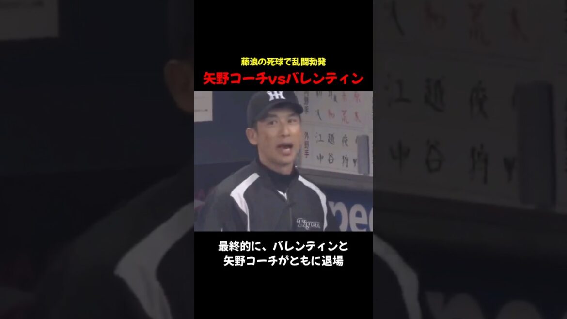 藤浪の死球で乱闘勃発！矢野コーチvsバレンティン #プロ野球 #乱闘 #阪神 #ヤクルト
