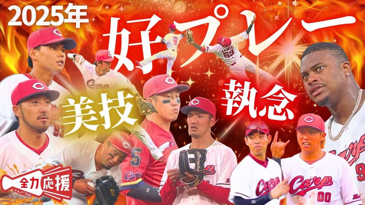 【好プレー集】2025年好守総まとめ！美技あり執念あり🔥【球団認定】カープ全力応援チャンネル