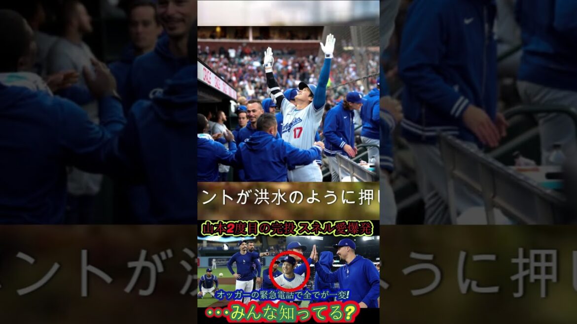 Part 1 #中日ドラゴンズ #baseball #プロ野球 #baseballnews #wbc