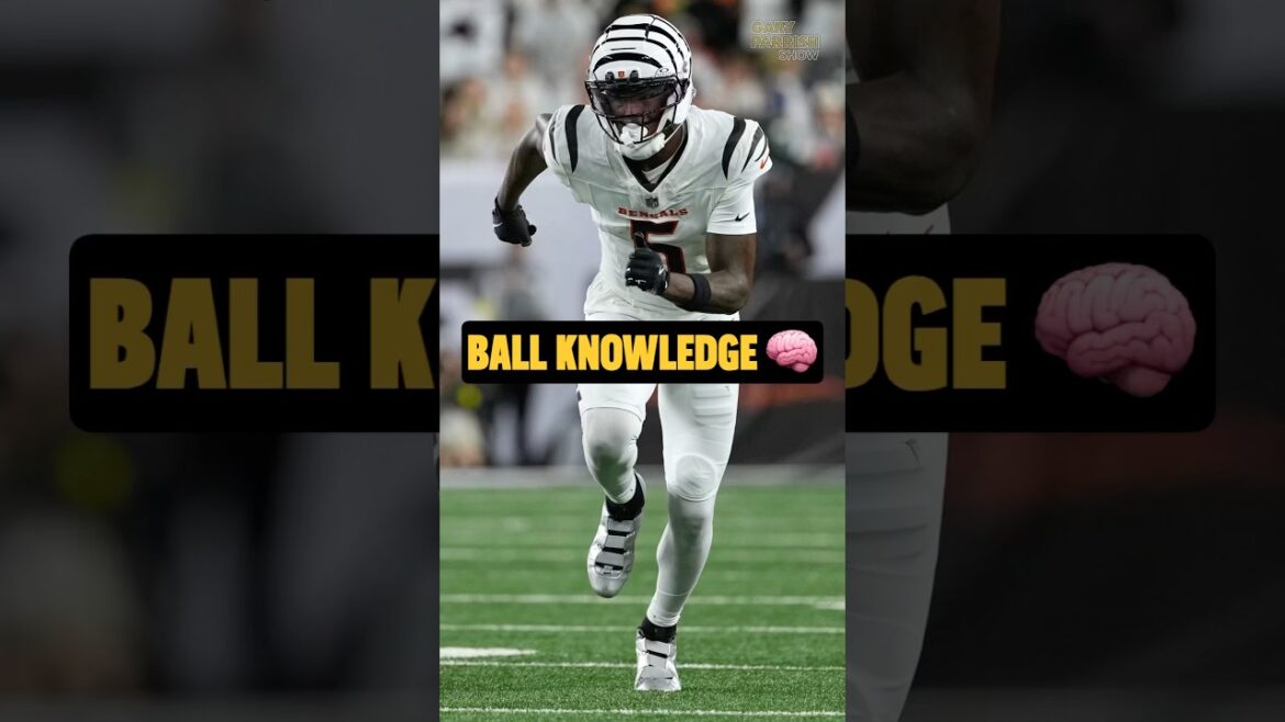 ティー・ヒギンズはボールの知識を高めた