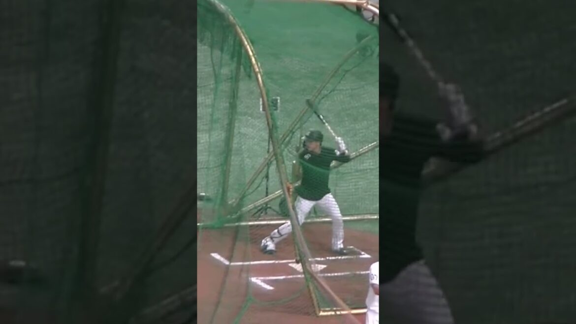 【フリーバッティング】ロッテ小川龍成のスイング（2024年6月6日 読売ジャイアンツ対 千葉ロッテマリーンズ）