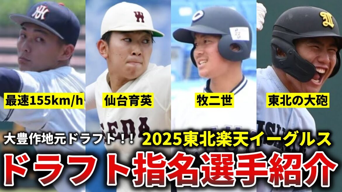 【大豊作】2025年ドラフト指名選手紹介【楽天イーグルス】
