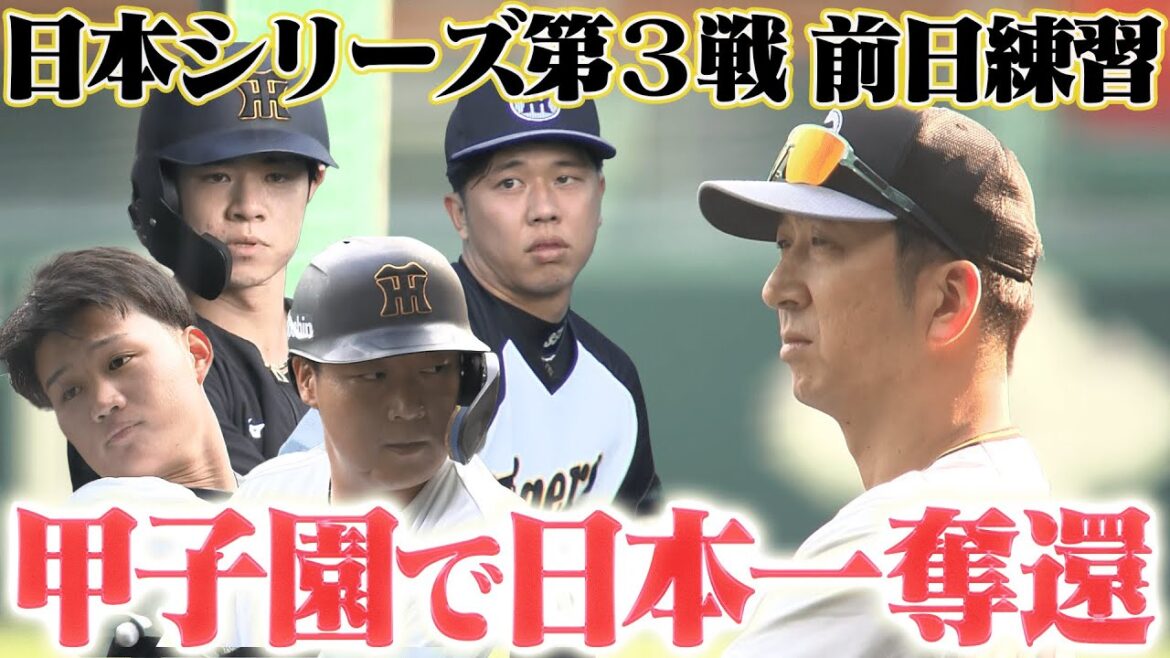 【明日は第３戦！】日本シリーズ第３戦 前日練習！虎ファンの願いはただ一つ！ぜひ甲子園で日本一を決めてくれ！！！阪神タイガース密着！応援番組「虎バン」ABCテレビ公式チャンネル