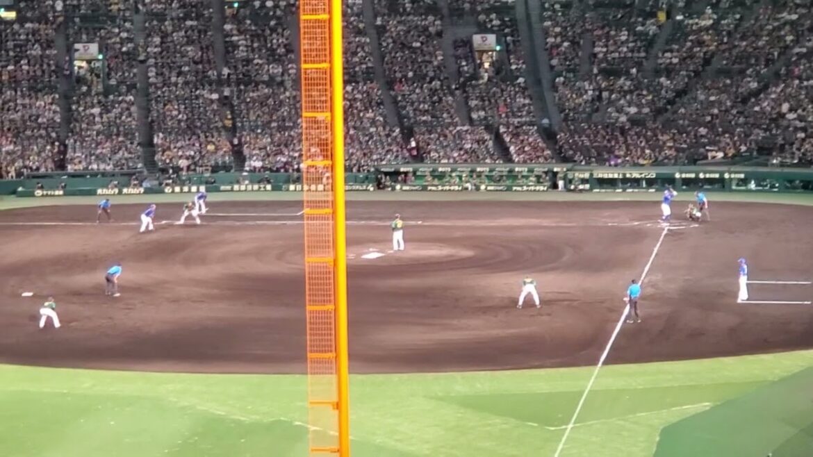 20240728 成績は落ちゆく…【高橋周平 応援歌】 7回表 中日ドラゴンズ@阪神甲子園球場・レフト外野 ウル虎の夏2024 20240728 成績は落ちゆく…【高橋周平 応援歌】 7回表 中日ドラゴンズ@阪神甲子園球場・レフト外野 ウル虎の夏2024