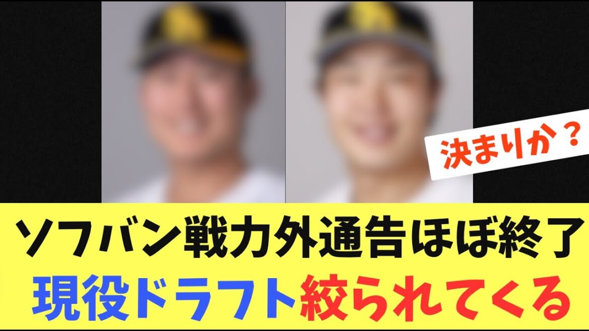 【現ドラ】ソフトバンクホークス戦力外通告がほぼ終了し、現役ドラフト候補になる選手が絞られてくる
