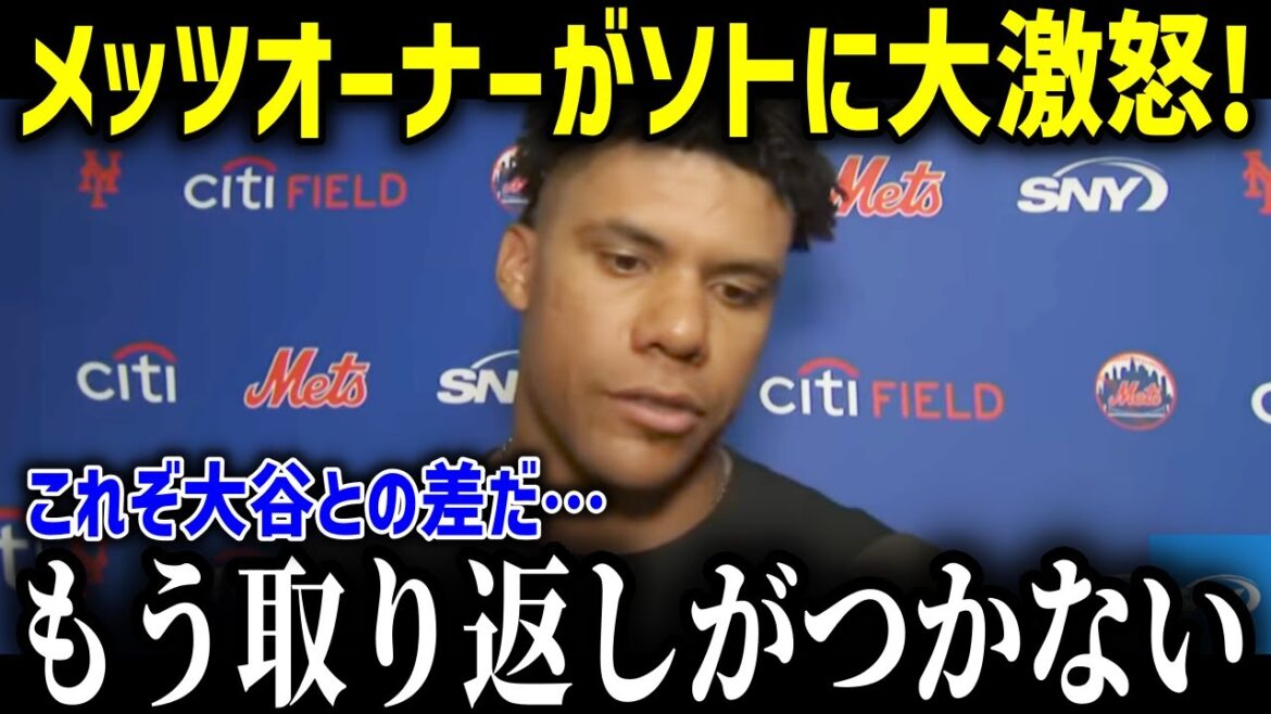 衝撃!メッツオーナーがバカンス中のソトに大激怒!「翔平にするべきだった…」早々にポストシーズン敗退でファンからも批判殺到!【海外の反応 MLB フアンソト】 衝撃!メッツオーナーがバカンス中のソトに大激怒!「翔平にするべきだった…」早々にポストシーズン敗退でファンからも批判殺到!【海外の反応 MLB フアンソト】