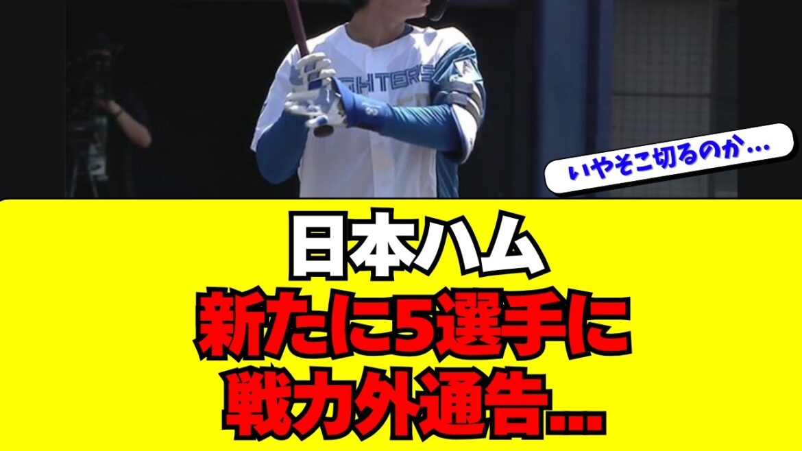 【日本ハム】新たに５選手に戦力外通告・・・