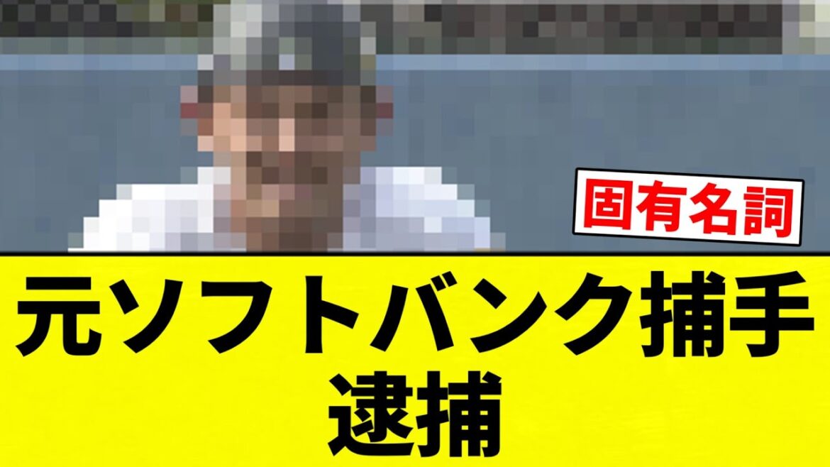 【知ってた】元ソフトバンク捕手　逮捕【プロ野球反応集】【2chスレ】【なんG】