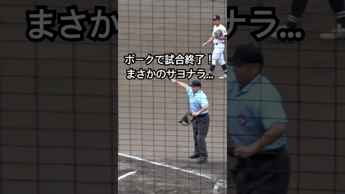 【球場騒然】ボークで試合終了！まさかのサヨナラ…　関東大会　佐野日大vs 駿台甲府　#高校野球 #佐野日大 #駿台甲府 #サヨナラ #shorts