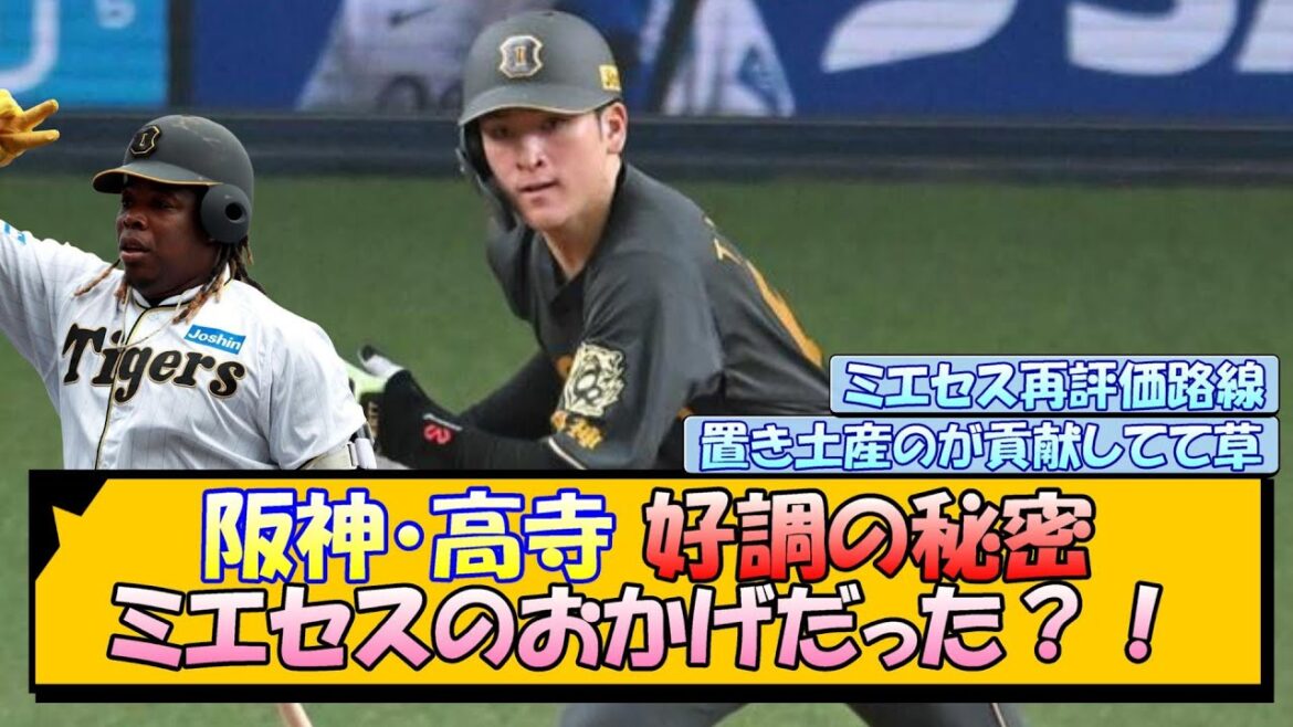 阪神・高寺 好調の秘密 ミエセスのおかげだった?! 阪神・高寺 好調の秘密 ミエセスのおかげだった?!